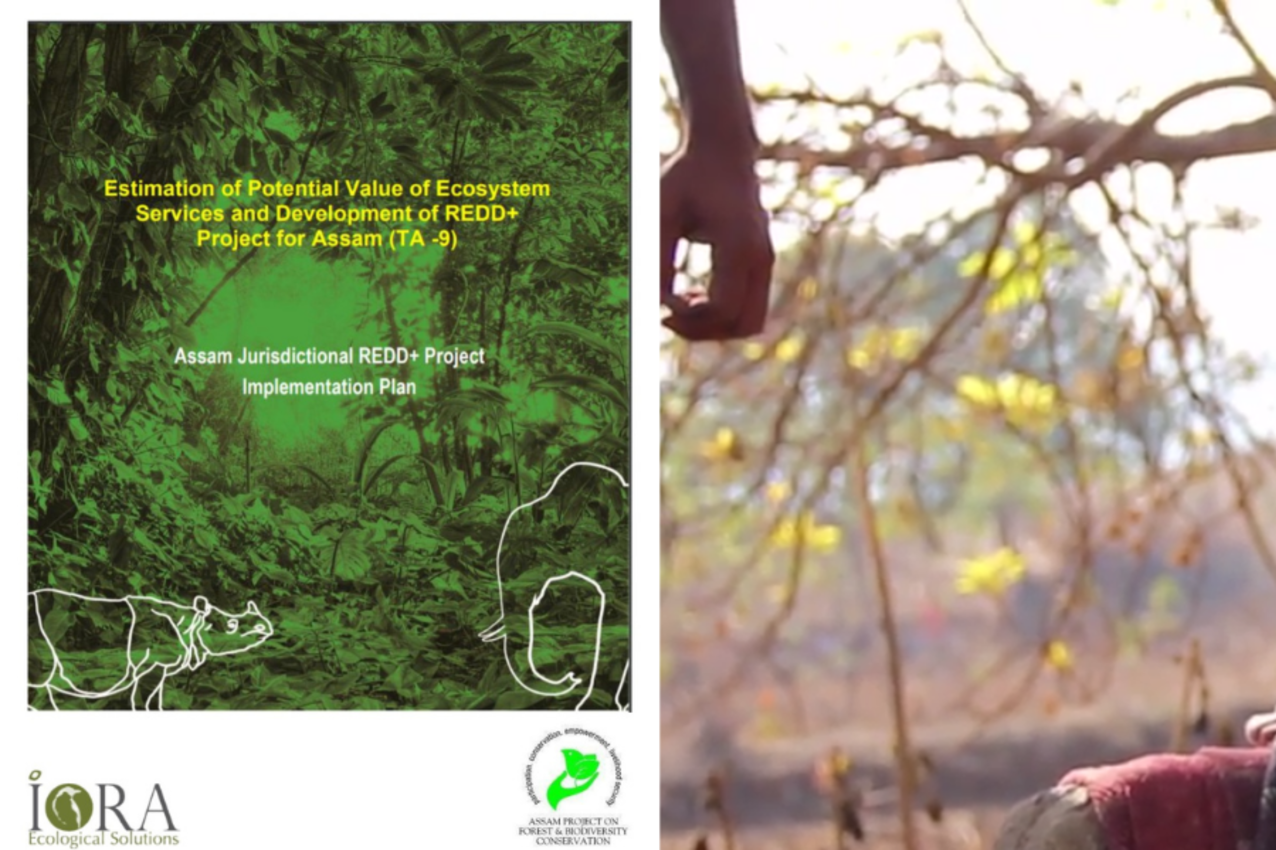 Community engagement for enhancing India’s climate resilience: Perspective from IORA’s REDD+ projects