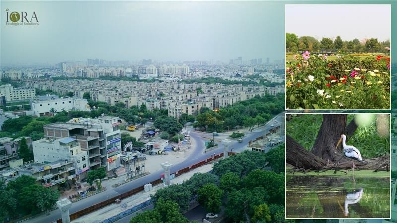 Rooted in Ruins: Delhi’s Biodiversity Legacy