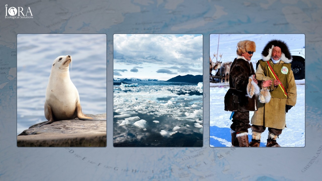 Conserving the Coolers of Our Climate Summers: Why Polar Ecosystem Valuation is Urgent