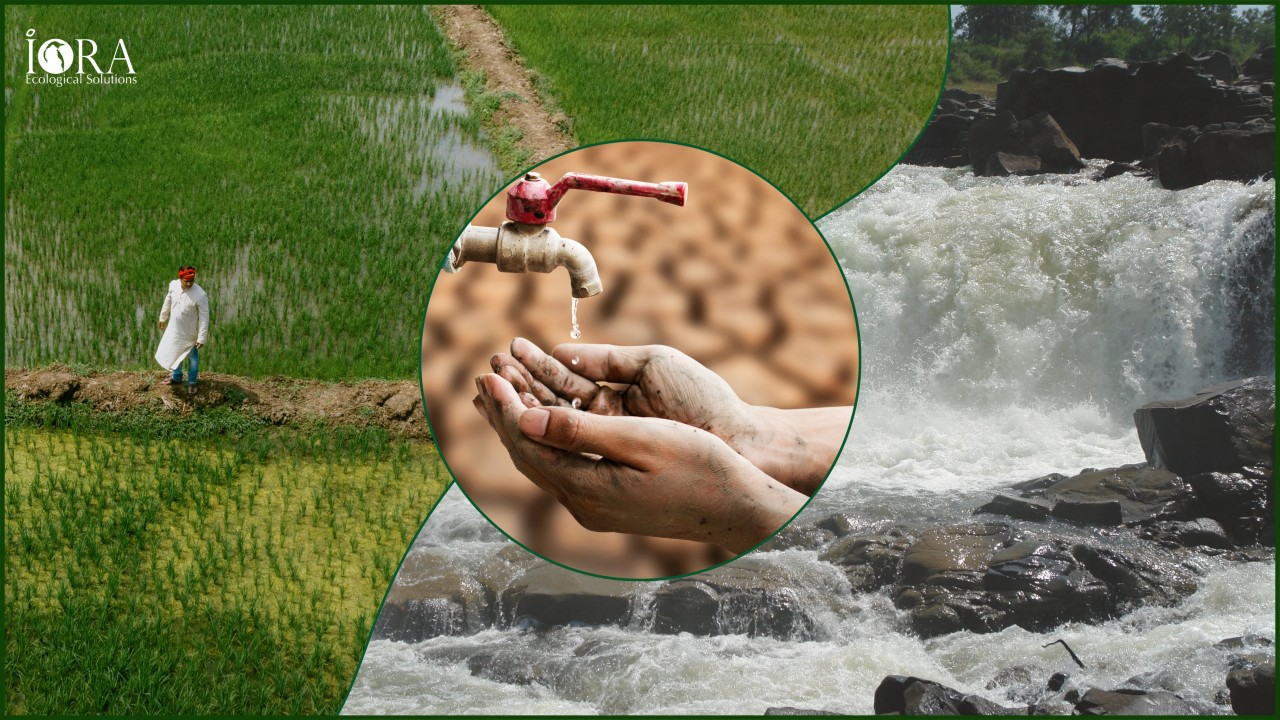 Where the Rivers Run: The Struggle for Water in Central India