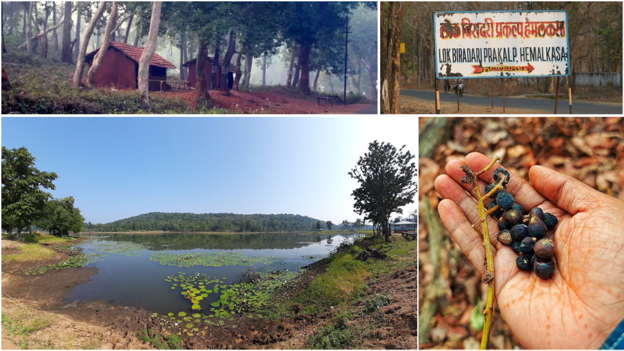 Living with the Wild: Reflections from Hemalkasa’s Heart of Conservation